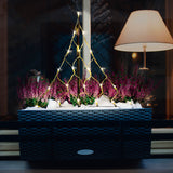 CHRISTmaxx LED-Lichterbaum 58 cm mit 21 warm-weißen LEDs, batteriebetrieben und mit Zeitschaltautomatik, dekorativ am Fenster platziert.