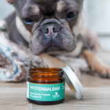 FLUFFINO® Pfotenbalsam - 50 ml natürlicher Hundepfotenbalsam mit Bienenwachs, Propolis und Bio-Jojobaöl für sanfte Pfotenpflege.