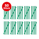 EASYmaxx Abflussreiniger-Stick Apfel 50er-Set zur Reinigung von Abflüssen, gegen Fett, Seifen- und Speisereste, einfache Anwendung.