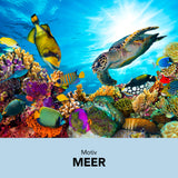 MAXXMEE Wandtattoo 3D "Meeresleben" mit farbenfrohen Fischen und Meeresschildkröte, 3D-Effekt auf glatten Oberflächen.