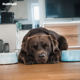 FLUFFINO® Hundenapf / Futternapf Keramik - 800 ml in Blau, handgefertigt, lebensmittelecht, spülmaschinenfest, für kleine und mittelgroße Hunde.
