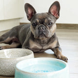 FLUFFINO® Hundenapf / Futternapf Keramik - 800 ml - blauer Napf für kleine und mittelgroße Hunde, handgefertigt, lebensmittelecht.