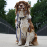 FLUFFINO® Hundehalsband aus BioThane Größe M grau, verstellbar, wasserfest und reißfest, mit passender Leine, hergestellt in Deutschland.