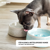 FLUFFINO® Hundenapf / Futternapf Keramik - 800 ml - blau, lebensmittelecht, handgefertigt, spülmaschinenfest für kleine und mittelgroße Hunde.