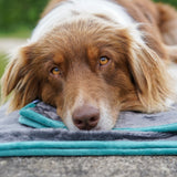 FLUFFINO® Hundedecke/ Wendedecke / Kuscheldecke - 150x100 cm - Grau mit Hund gemütlich liegend auf der Decke.