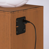 Borussia Mönchengladbach LED-Dekosäule Rost-Optik mit Leuchtkugel, 84 cm, braun, akkubetrieben, USB aufladbar, 3 Lichteinstellungen.