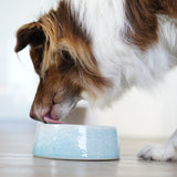 FLUFFINO® Hundenapf / Futternapf Keramik - 800 ml in Blau, handgefertigt, lebensmittelecht, für kleine und mittelgroße Hunde.