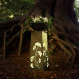 Hoberg LED Pflanzsäule in Beton-Optik 23x23x70 cm mit Gingkoblätter-Design, LED-Beleuchtung und abnehmbarer Pflanzschale im Außenbereich.