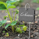 Hoberg Schiefer-Pflanzschilder 10er Set mit wetterfesten Schiefertafeln und robusten Erdspießen zur Pflanzenkennzeichnung Erdbeeren.