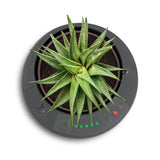 LAZY LEAF Blumentopf selbstgießend 1,1 Liter, weiß/grau mit 10 Bewässerungsstufen und Temperatursensor für Pflanzen bis Ø 13 cm.