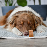 FLUFFINO® Hundedecke/Hundekissen - Wildlederimitat - Größe L, grau, weiche und warme Schlafunterlage für Hunde.