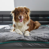 FLUFFINO® Hundedecke/ Wendedecke / Kuscheldecke - 150x100 cm - Grau mit weichem Kuschelfell und robustem Cordgewebe zweifarbig.
