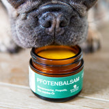 FLUFFINO® Pfotenbalsam - 50 ml, natürlicher Pfotenschutz mit Bienenwachs, Propolis und Bio-Jojobaöl für empfindliche Hundepfoten.