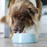 FLUFFINO® Hundenapf / Futternapf Keramik - 800 ml in Blau, handgefertigt, lebensmittelecht und spülmaschinenfest.