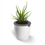 LAZY LEAF Blumentopf selbstgießend 1,1 Liter weiß/grau mit 10 Bewässerungsstufen, Temperatursensor und bis zu 12 Wochen Akkulaufzeit.