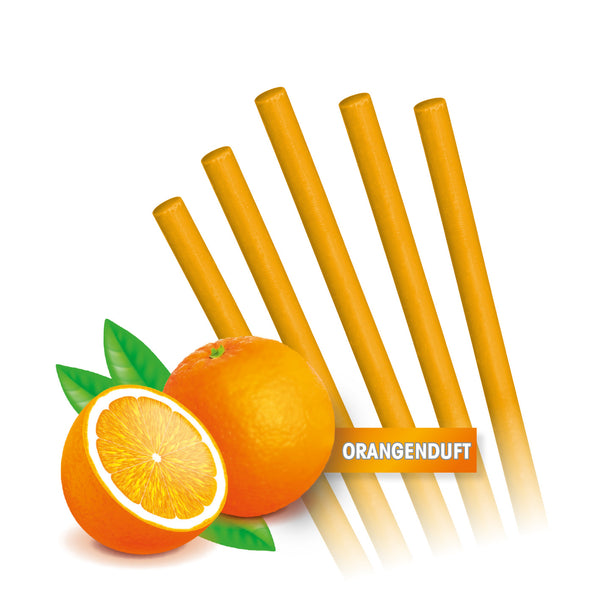 EASYmaxx Abfluss-Sticks Orangenduft