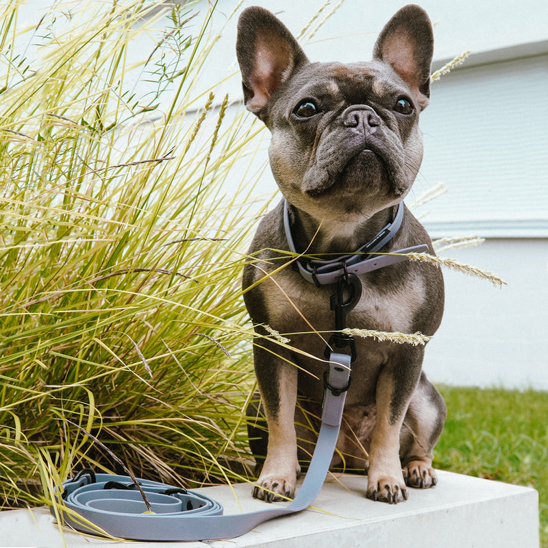 FLUFFINO® Hundehalsband aus BioThane in Grau, 5-fach verstellbar, Größe L, Halsumfang 44-54 cm, wasserdicht und reißfest.