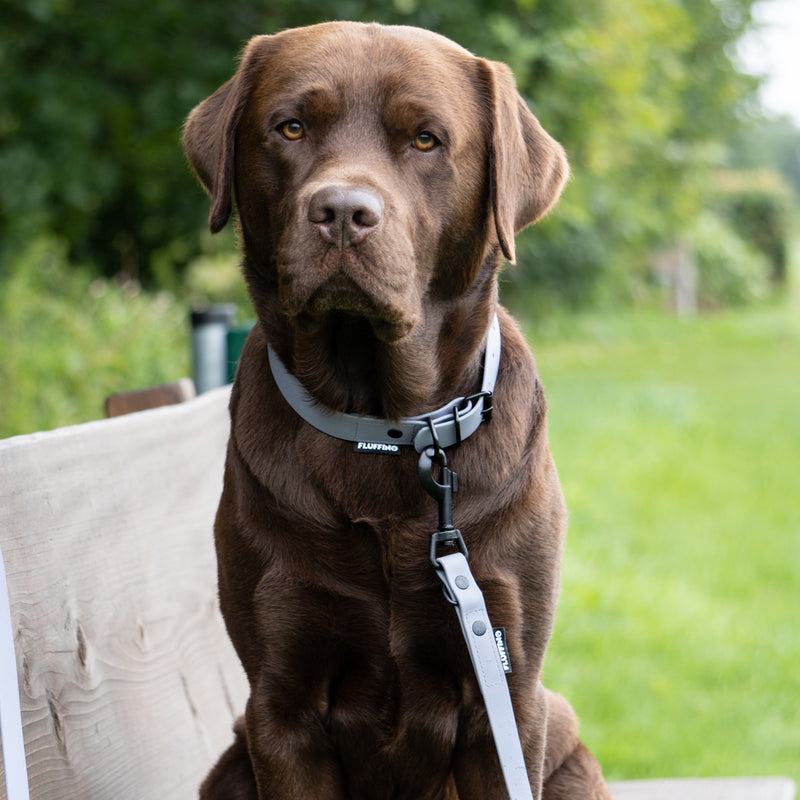 FLUFFINO® Hundehalsband aus BioThane grau, 5-fach verstellbar, Größe L, Halsumfang 44-54 cm, vegan, wasserfest, reißfest, made in Germany.