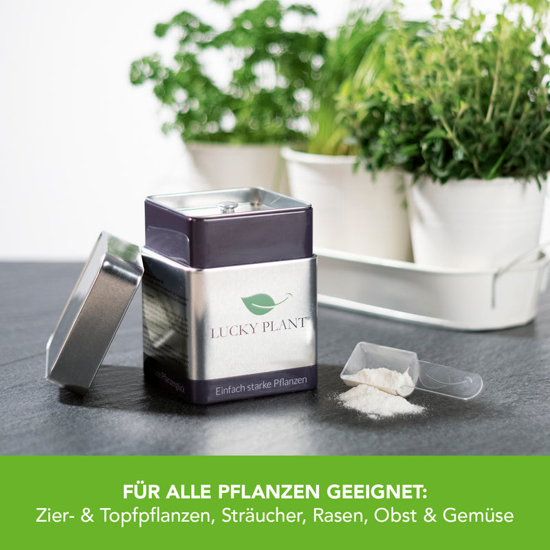 Lucky Plant Pflanzenstärkung Pulver & Tabletten - 400g Pulver + 20 Tabs