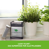 Lucky Plant Pflanzenstärkung Pulver inkl. Messlöffel - 400 g