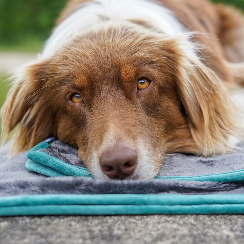 FLUFFINO® Hundedecke/ Wendedecke Kuscheldecke 150x100 cm Grau mit weichem Stoff, ideal für große und kleine Hunde zum Entspannen.