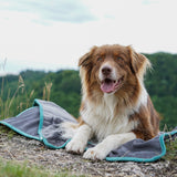 FLUFFINO® Hundedecke/ Wendedecke / Kuscheldecke - 150x100 cm - Grau mit Hund draußen auf der Decke in Naturkulisse.