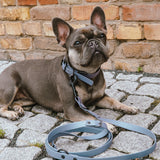 FLUFFINO® Hundehalsband aus BioThane 5-fach verstellbar Größe L Grau am Hund mit passender Leine liegend vor Backsteinwand