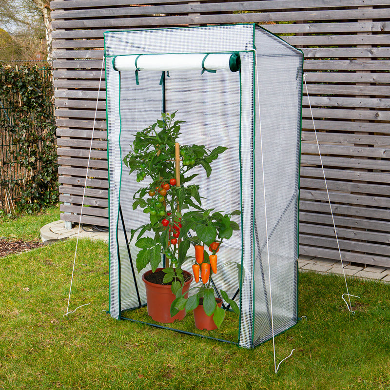 Hoberg Folien-Gewächshaus 100x50x158/170 cm mit stabilem Rahmen, transparenter PE-Folie und Reißverschluss für Jungpflanzen und Tomaten.