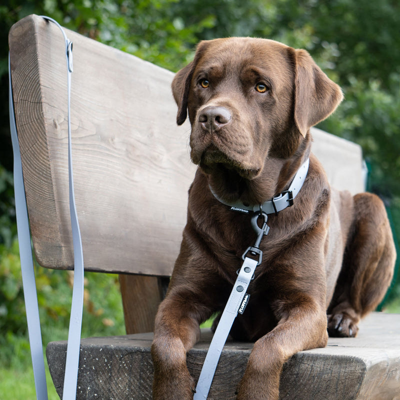 FLUFFINO® Hundehalsband aus BioThane - 5-fach verstellbare Größe L in Grau an braunem Hund auf Holzbank.