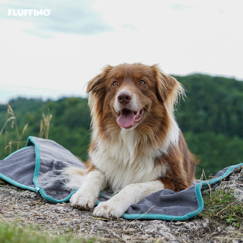 FLUFFINO® Hundedecke/ Wendedecke / Kuscheldecke - 150x100 cm - Grau mit weichem Kuschelfell, ideal für große und kleine Hunde.