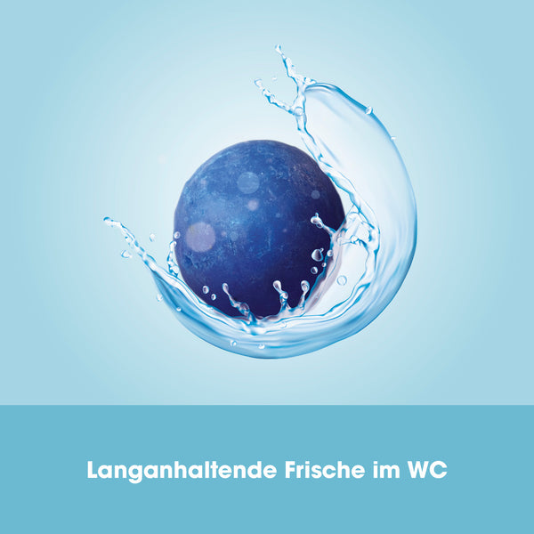 EASYmaxx Reinigungsstein für WC-Bürste - 3er-Set