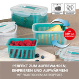 GOURMETmaxx Frischhaltedosen mit Abtropfsieb - transparent/grün